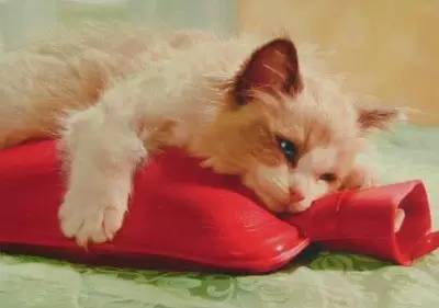 女生每個(gè)月的那幾天怎么說？外國妹子竟然也說“大姨媽”！