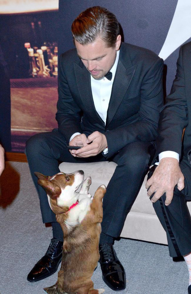 小李子奧斯卡私照遭PS達(dá)人惡搞（組圖）