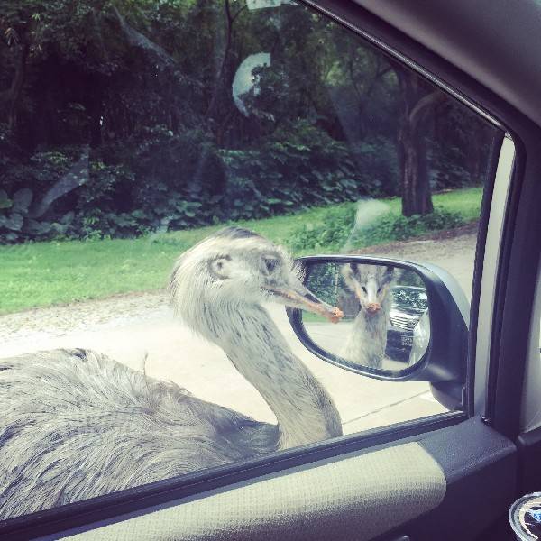 看到玻璃就想照鏡子？