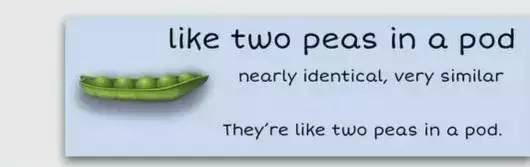 萌你一臉的生活常用諺語(yǔ)！