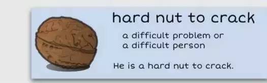 萌你一臉的生活常用諺語(yǔ)！