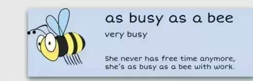 萌你一臉的生活常用諺語(yǔ)！