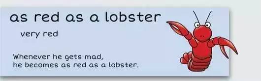 萌你一臉的生活常用諺語(yǔ)！