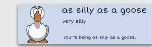 萌你一臉的生活常用諺語(yǔ)！