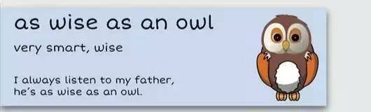 萌你一臉的生活常用諺語(yǔ)！