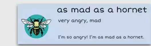 萌你一臉的生活常用諺語(yǔ)！