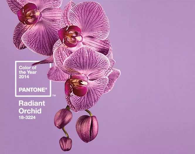 搶先看！2018年度色彩如此神秘又高科技