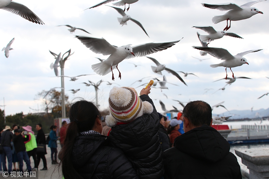 春節(jié)不知道去哪玩？國內(nèi)十大熱門城市走起?。ńM圖）