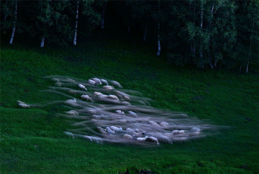 如詩(shī)如畫：“美麗中國(guó)·夢(mèng)想中國(guó)”攝影大賽優(yōu)秀作品欣賞（組圖）