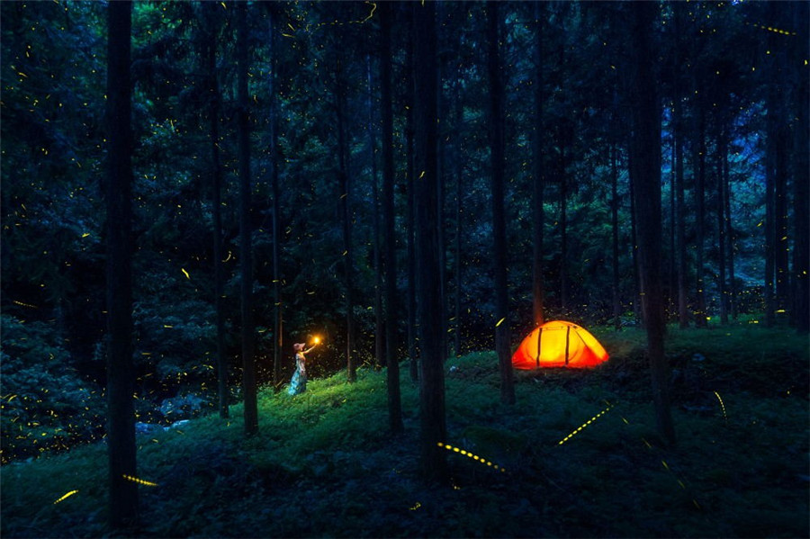 如詩(shī)如畫：“美麗中國(guó)·夢(mèng)想中國(guó)”攝影大賽優(yōu)秀作品欣賞（組圖）