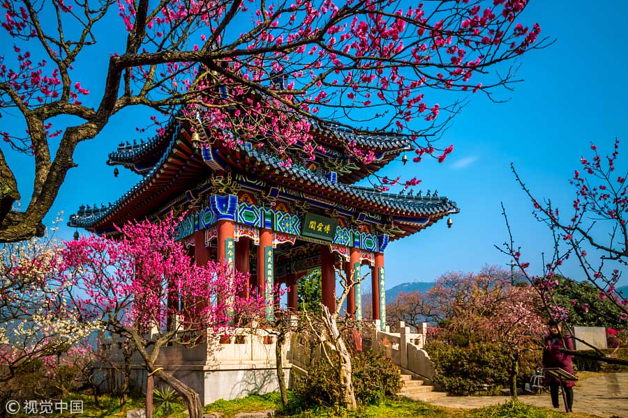 踏青季：春天盛開(kāi)的9種鮮花 哪一種最美？（組圖）